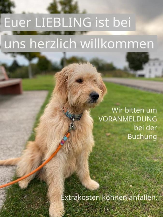 Fewo Timon Grosszuegig Modern Mit Terrasse Ca 50 Qm Hamm  Esterno foto